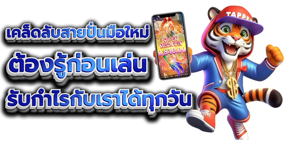 มือใหม่ต้องรู้